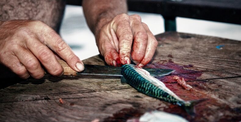 Fiskeknivens hemmelige våben: Hvordan materialer påvirker ydeevnen