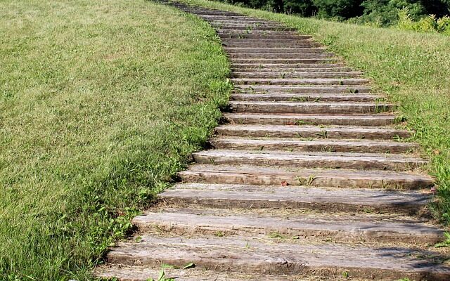 Sådan bremser du kroppens aldring: De nyeste gennembrud inden for anti-aging