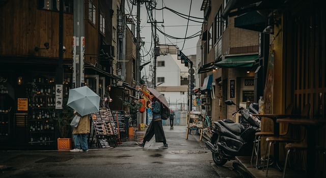 Fra sproglige udfordringer til kulinariske opdagelser: Dit japanske arbejdseventyr