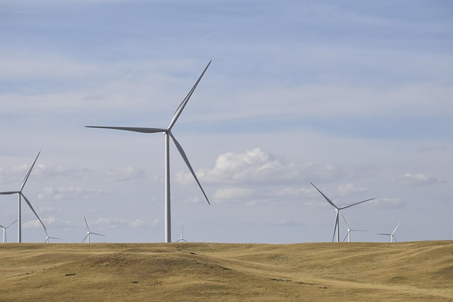 Grøn energi i københavn: Vælg det elselskab, der passer til dine værdier