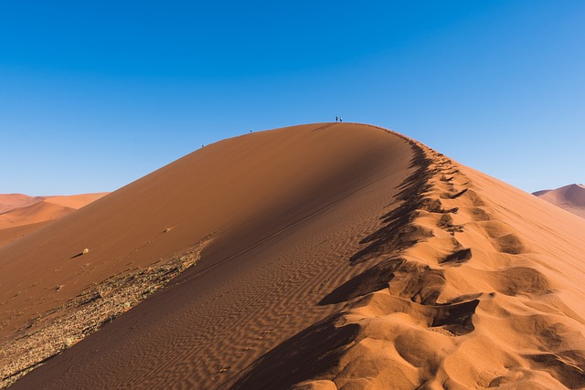 På sporet af løver og palmesus: Din guide til afrikas uforglemmelige rejse