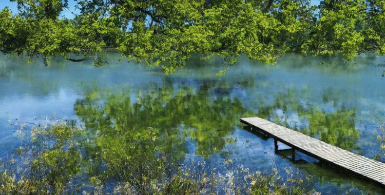 Opdag Danmarks smukkeste naturoaser: 6 steder der vil tage pusten fra dig
